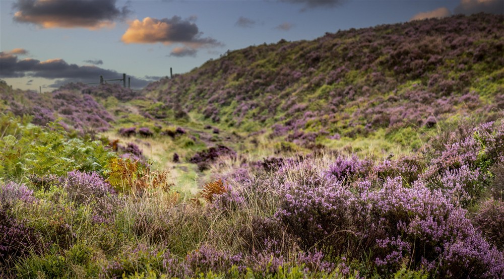 The area surrounding White Edge Lodge, Derbyshire (photo 2) at White Edge Lodge in Nr Sheffield, Derbyshire