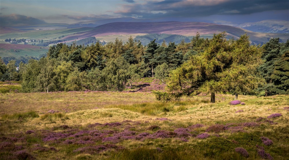 The area surrounding White Edge Lodge, Derbyshire at White Edge Lodge in Nr Sheffield, Derbyshire