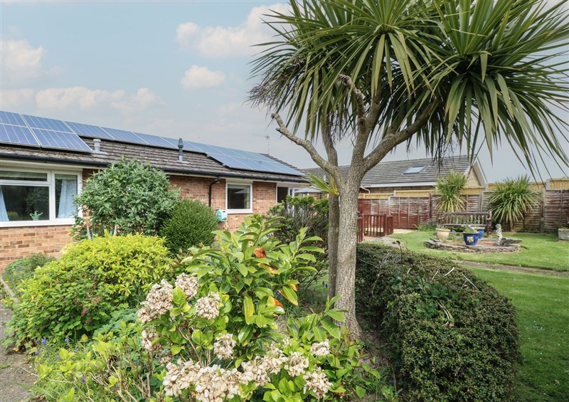 Enjoy the garden at White Lion Retreat, Cromer