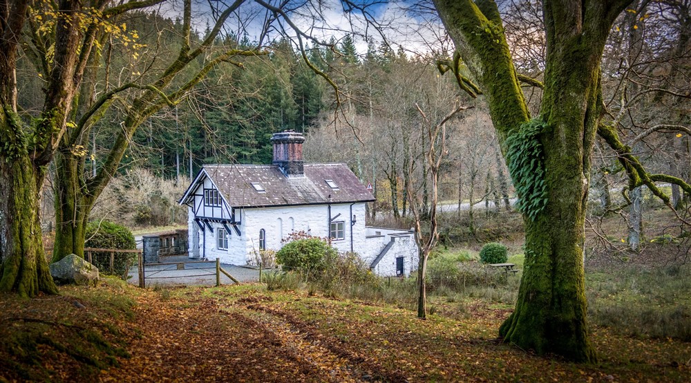 The exterior of White Lodge, Gwynedd (photo 4) at White Lodge in Ganllwyd, Gwynedd