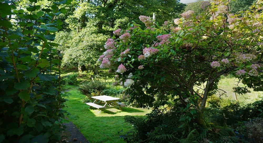 The garden at White Lodge in Ganllwyd, Gwynedd