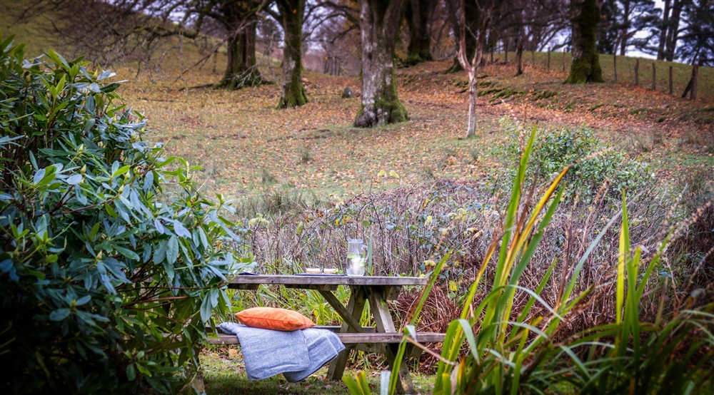 The picnic table in the garden at White Lodge in Ganllwyd, Gwynedd