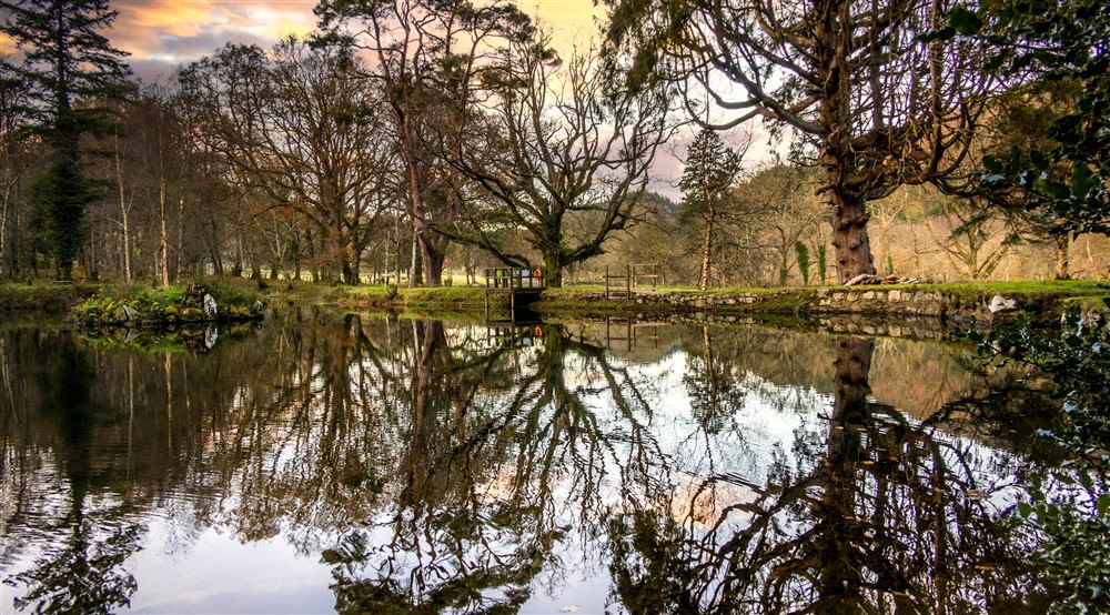 The surrounding area (photo 3) at White Lodge in Ganllwyd, Gwynedd