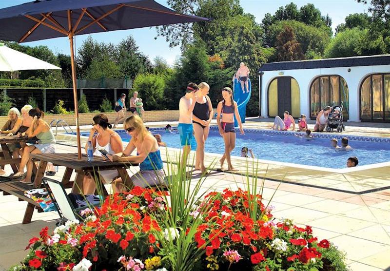 Outdoor heated swimming pool at White Rose Country Cottages in Vale of York, North of England