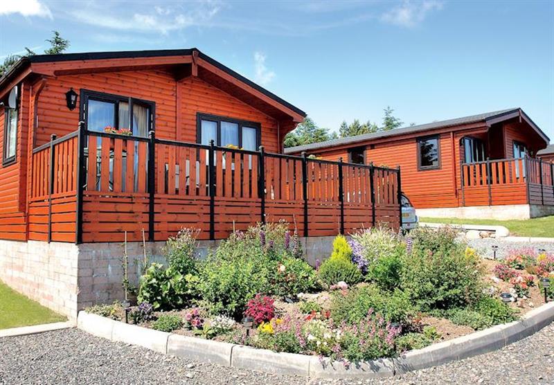 The park setting (photo number 4) at Whitecairn Holiday Park in Wigtownshire, Scotland