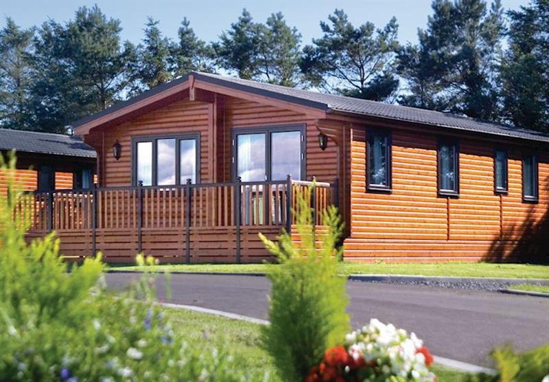 The park setting at Whitecairn Holiday Park in Wigtownshire, Scotland