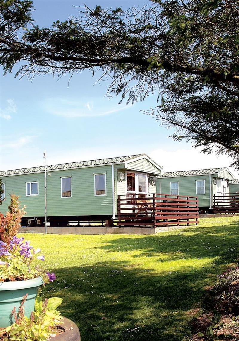 Typical Merrick Caravan (photo number 6) at Whitecairn Holiday Park in Wigtownshire, Scotland
