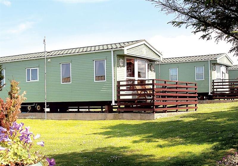 Typical Merrick Caravan (photo number 7) at Whitecairn Holiday Park in Wigtownshire, Scotland