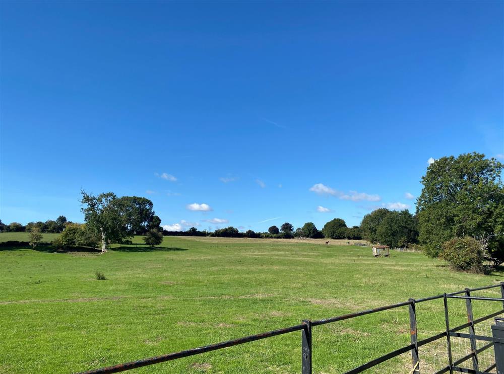 Glorious countryside all around at Whitechurch Stables, Winterborne Whitechurch