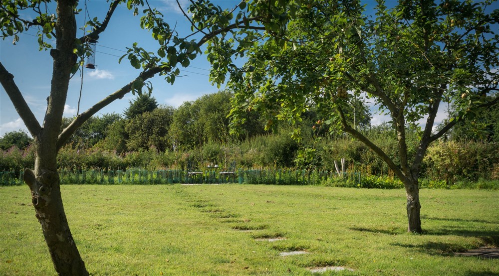 The garden, with orchard trees and lawn, at Whitegates Cottage in Nr Spilsby, Lincolnshire