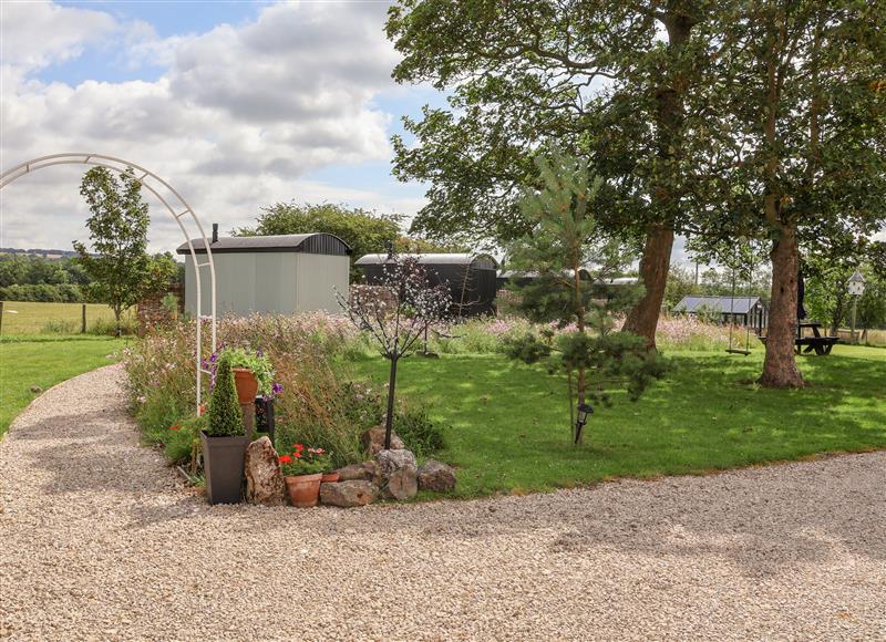 Enjoy the garden at Whitehedge, Pocklington