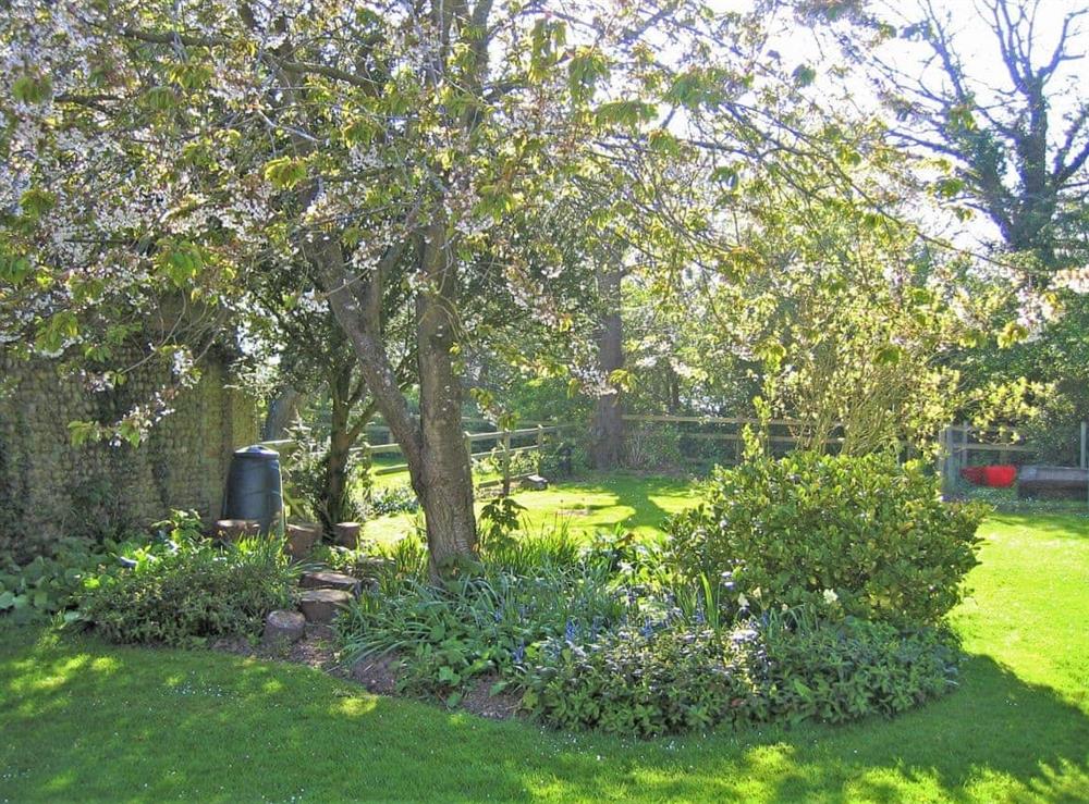 Wonderful, peaceful garden (photo 2) at Wallages Cottage, 