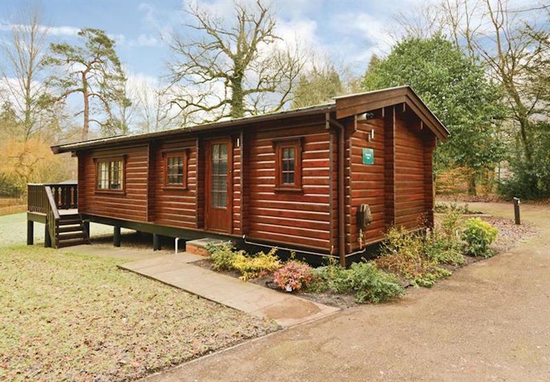 Log Cabin at Whitemead Forest Park in Forest of Dean, Gloucestershire