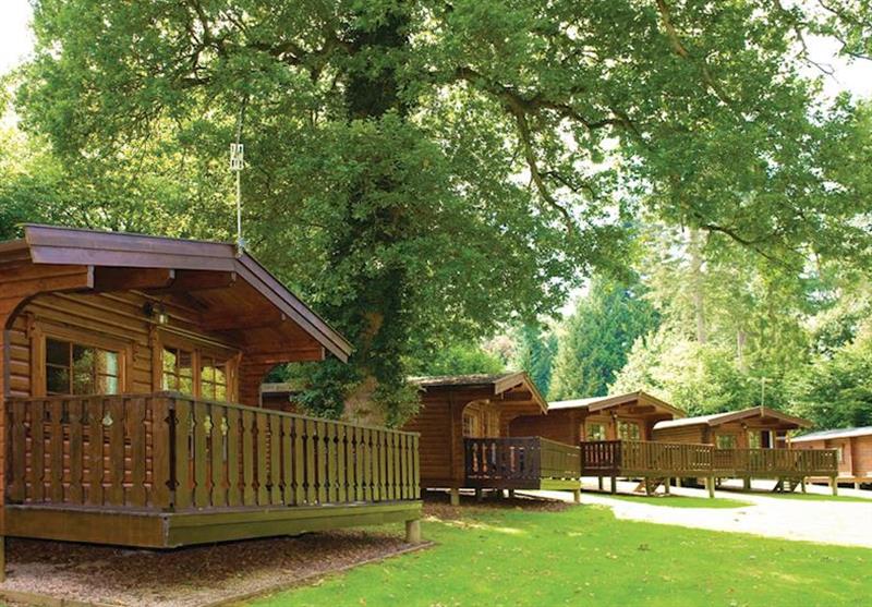 The lodge setting at Whitemead Forest Park in Forest of Dean, Gloucestershire