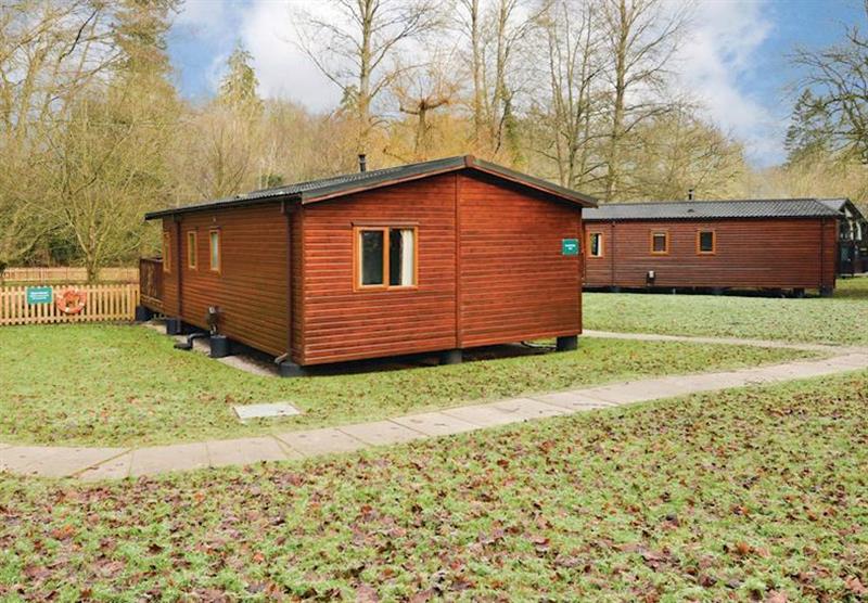 Woodland Lodge at Whitemead Forest Park in Forest of Dean, Gloucestershire