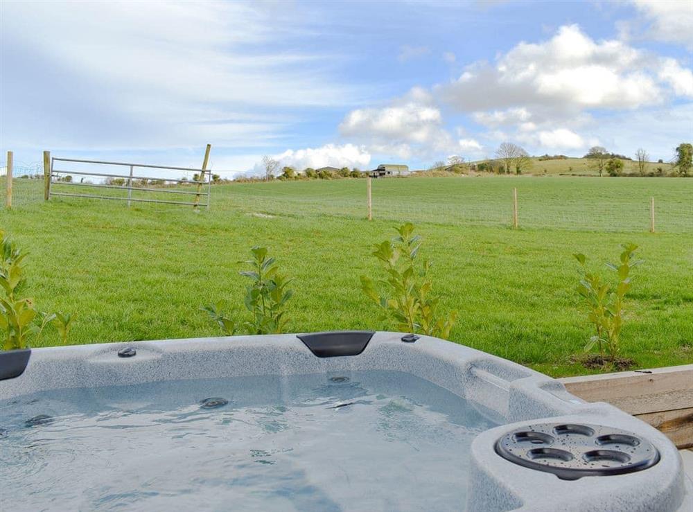 Hot tub (photo 3) at Whitey Top Country Lodge in Pentridge, Dorset