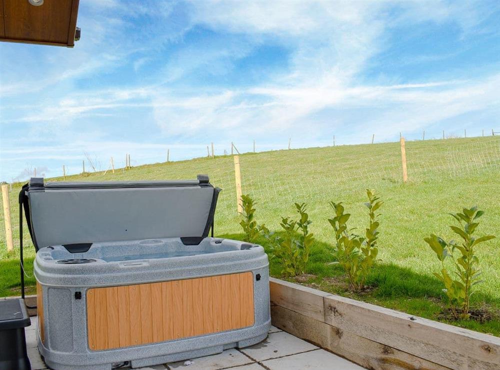 Hot tub at Whitey Top Country Lodge in Pentridge, Dorset