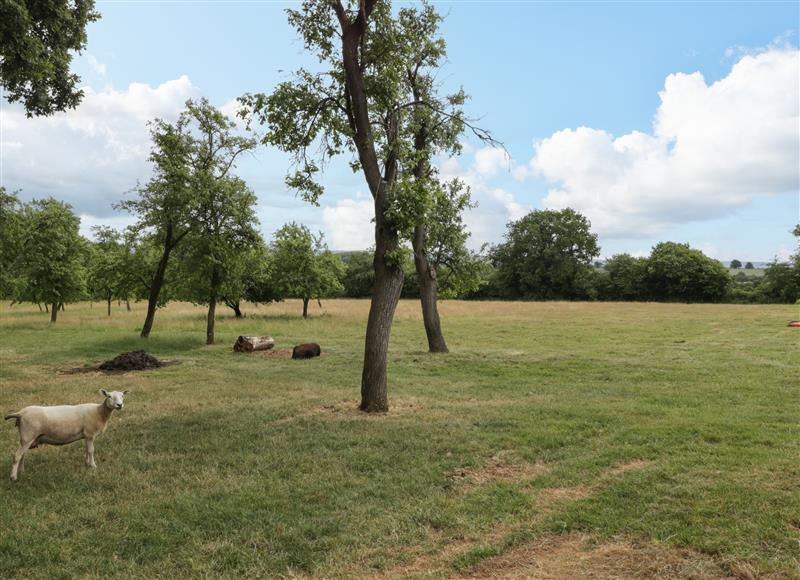 Rural landscape at Whitlow Lodge Annex, Birdwood near Huntley