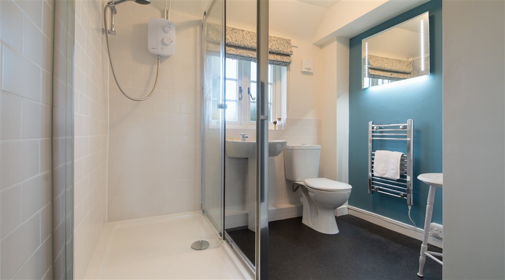 The shower room at Wicken Rose Cottage in Ely, Cambridgeshire
