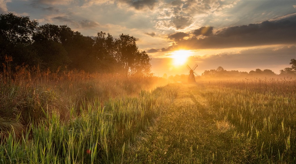 The sun rising behind a windmill stood in a green meadow at Wicken Rose Cottage in Ely, Cambridgeshire