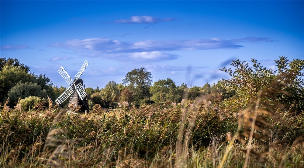 The wind pump on Wicken Fen Nature Reserve, Cambridgeshire at Wicken Rose Cottage in Ely, Cambridgeshire