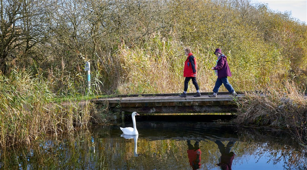 Visitors crossing Normans Bridge at Wicken Rose Cottage in Ely, Cambridgeshire