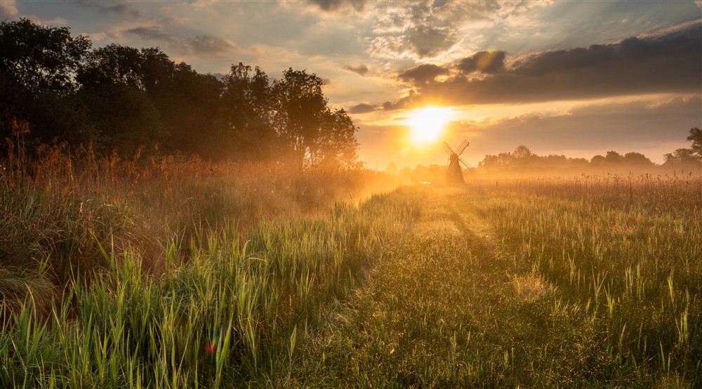 Wicken Fen Nature Reserve, Cambridgeshire at Wicken Rose Cottage in Ely, Cambridgeshire