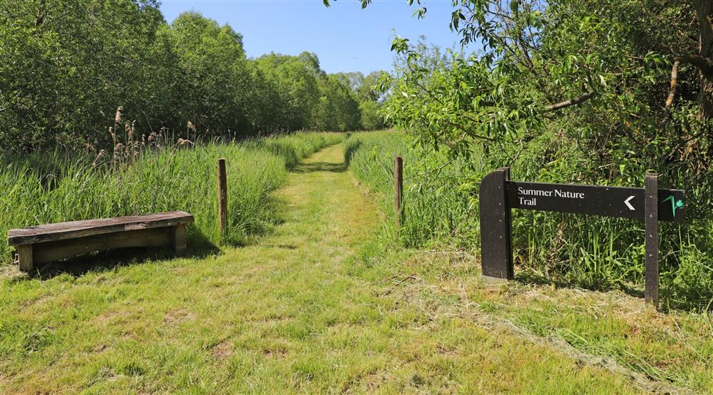 Wicken Fen Nature Reserve near Wicken Rose Cottage, Cambridgeshire