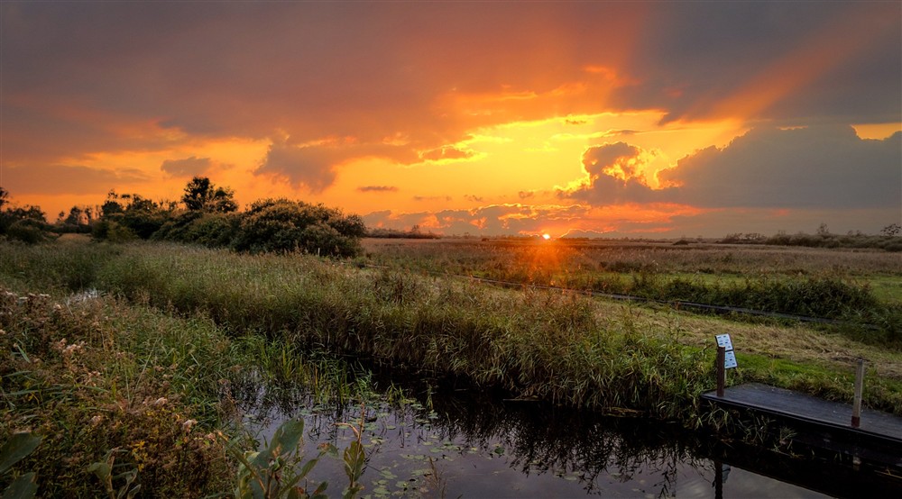 Wicken Fen Nature Reserve at Wicken Rose Cottage in Ely, Cambridgeshire