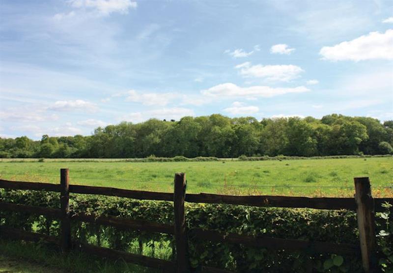 View from the park at Wickham Green Farm Lodges in Wiltshire, Heart of England