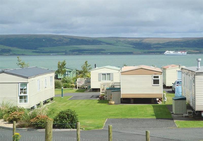 The park setting (photo number 2) at Wigbay Holiday Park in Loch Ryan, Dumfries and Galloway