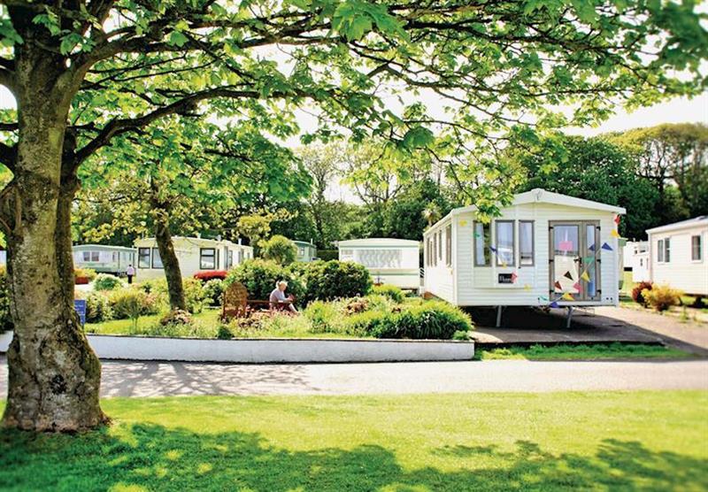 The park setting at Wigbay Holiday Park in Loch Ryan, Dumfries and Galloway