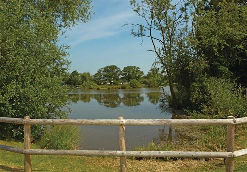 The fishing lakes at Wigmore Lakes Lodges in Shropshire, Heart of England