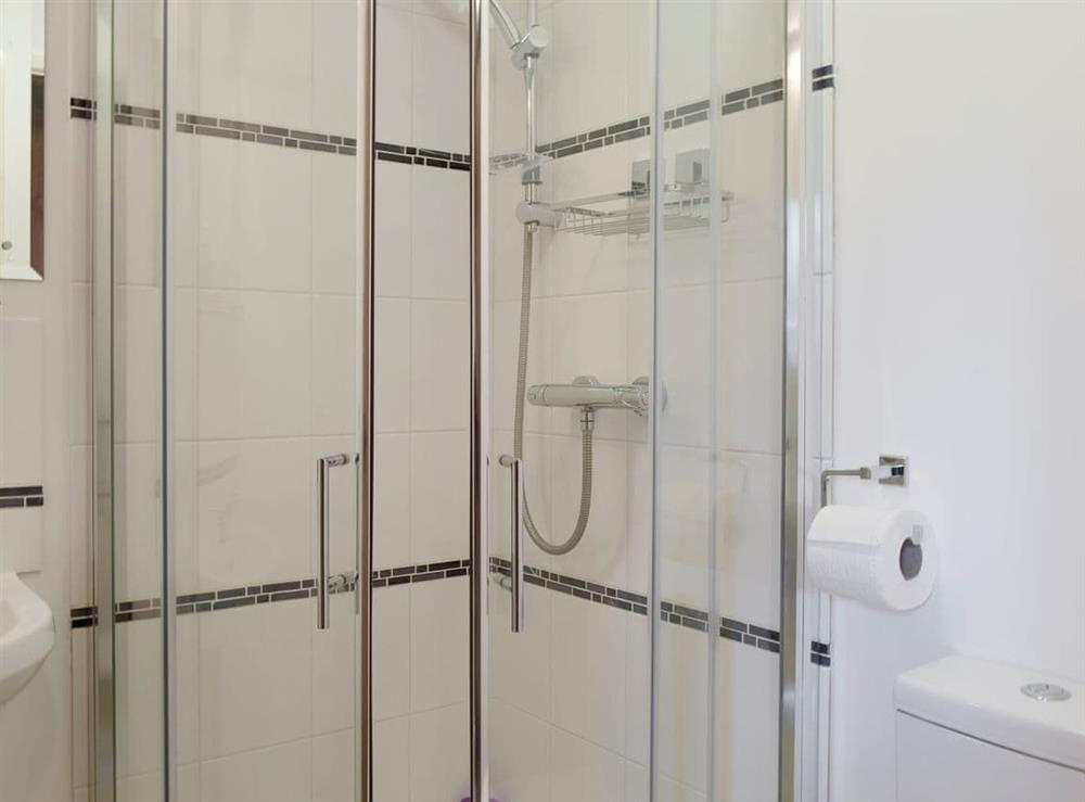 Shower room with walk-in shower cubicle at Wilby Halt in Brockford, near Stowmarket, Suffolk