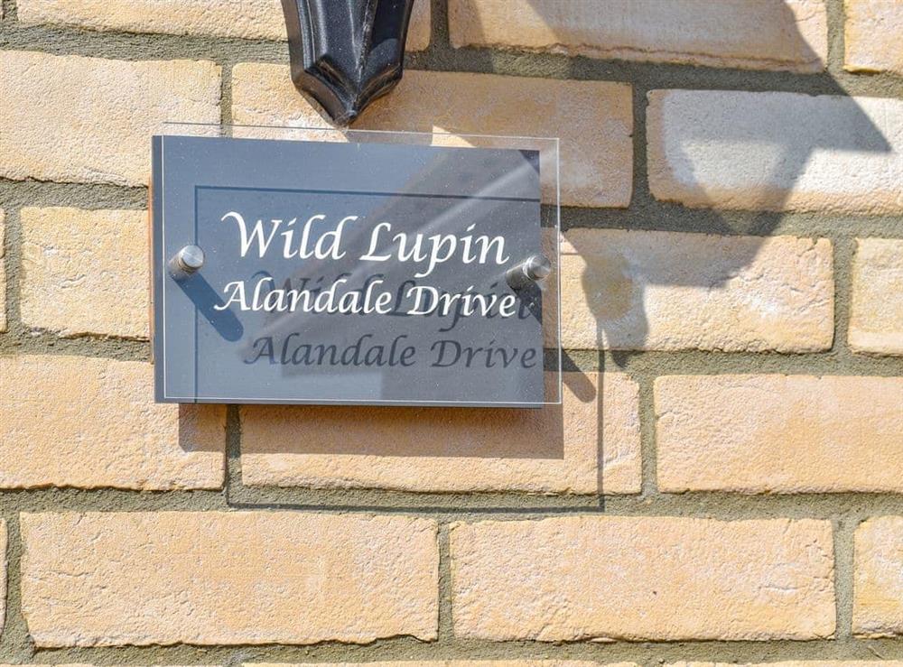 Outdoor area at Wild Lupin in Kessingland, Suffolk