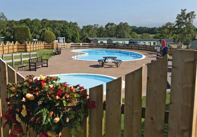 Outdoor heated swimming pool at Wild Rose Park in Ormside, Cumbria & The Lakes