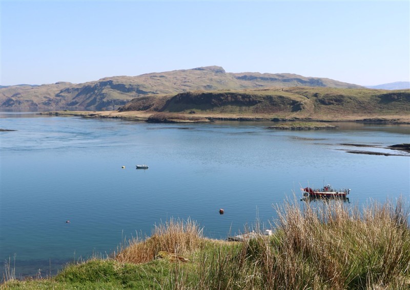 The area around WildLuing