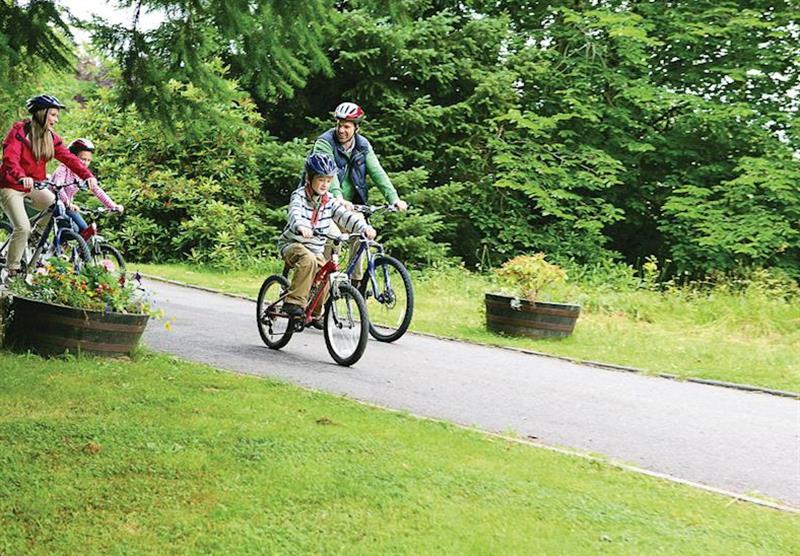 Cycle trails at Wildside Highland Lodges in Inverness-Shire, Northern Highlands