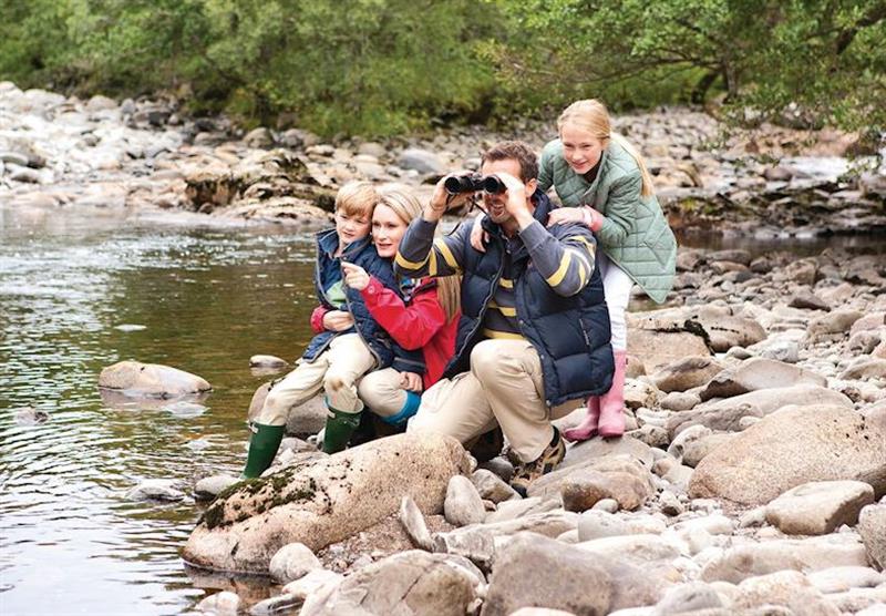 River Fechlin at Wildside Highland Lodges in Whitebridge, Nr Loch Ness