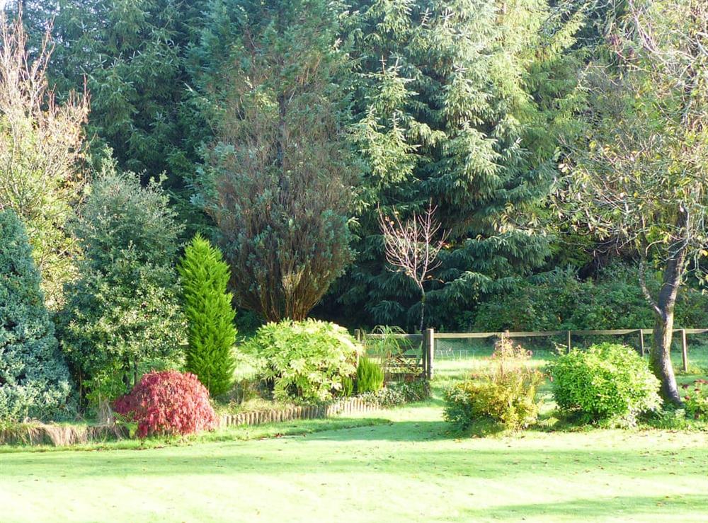 Garden at Wildwood Cottage in Germansweek, near Beasworthy, Devon