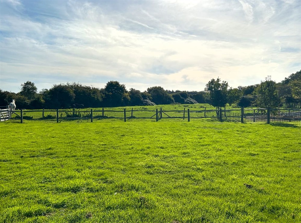 Surrounding area at Willow Cottage in Chichester, West Sussex