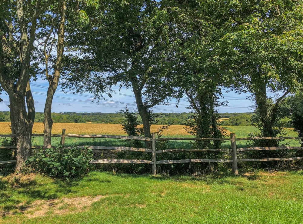 Garden at Willow in East Hoathly, near Lewes, East Sussex