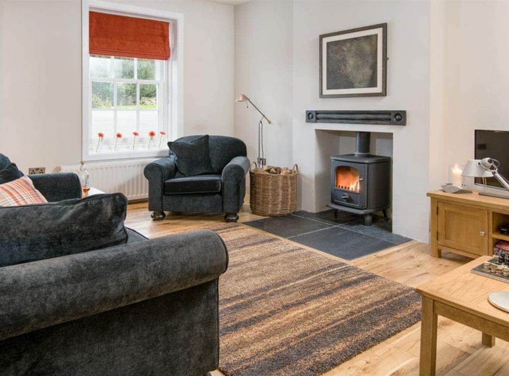 Comfortable living room with multi fuel burner at Willow in Gatehouse of Fleet, Kirkcudbrightshire