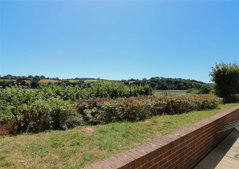 This is the garden at Willow, Kingsteignton