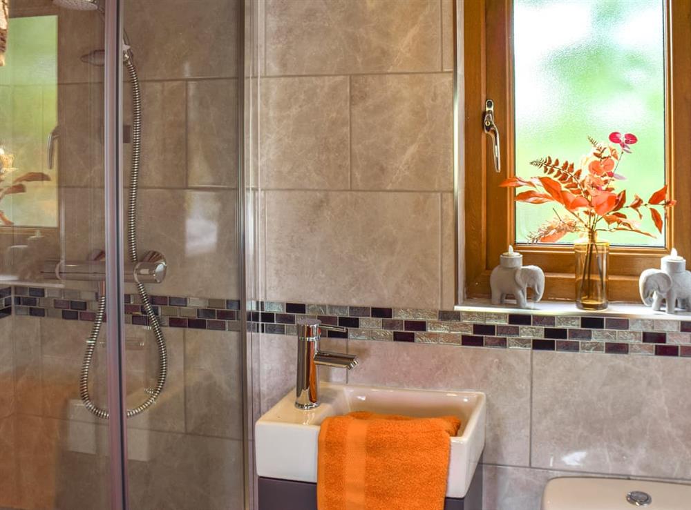 Shower room at Willow Lodge in Audlem, near Nantwich, Cheshire