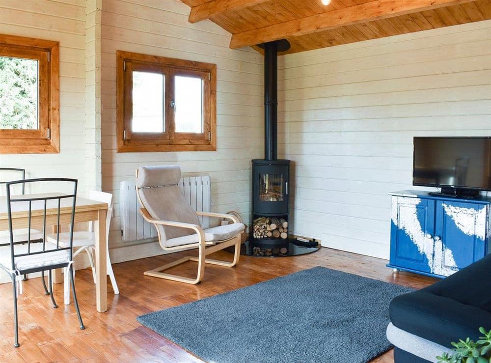 Open plan living space at Willow Lodge in Buckhorn Weston, Somerset
