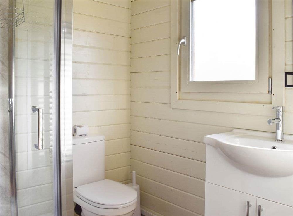Shower room (photo 2) at Willow Lodge in Buckhorn Weston, Somerset