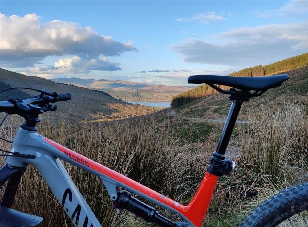 Superb local mountain biking country at Willow Lodge in Dunoon, Argyll