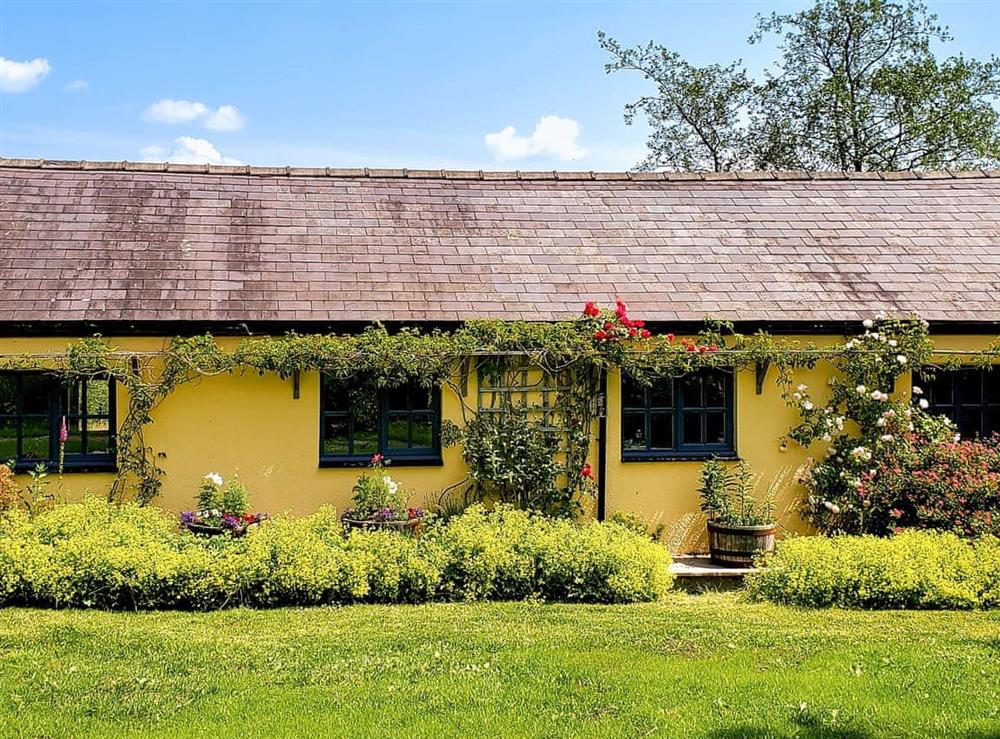 Garden at Willow Tit Cottage in Ffostrasol, Dyfed