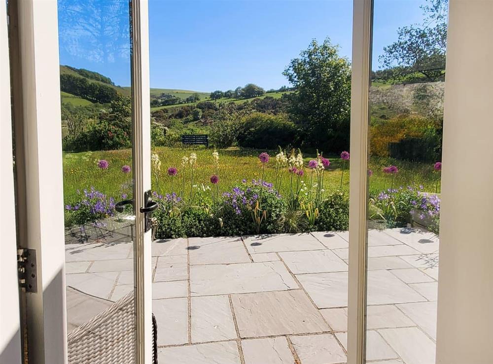 Patio at Willow Tit Cottage in Ffostrasol, Dyfed